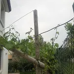Bardolino,lago Di Garda, Appartamento,vacanze Апартаменты