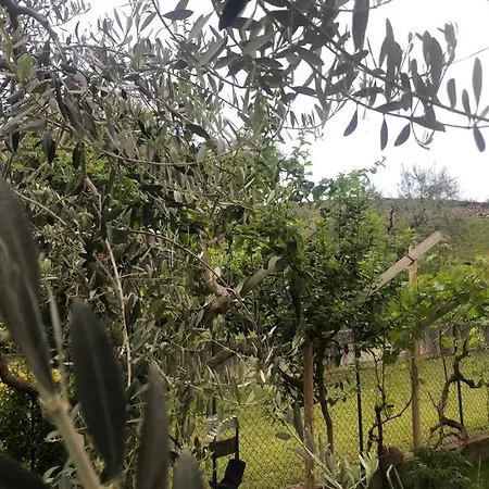 Bardolino,lago Di Garda, Appartamento,vacanze Apartament