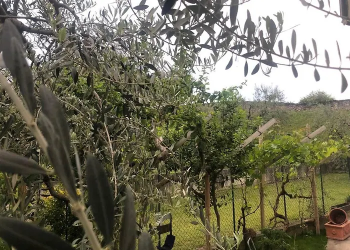 Bardolino,lago Di Garda, Appartamento,vacanze Appartement