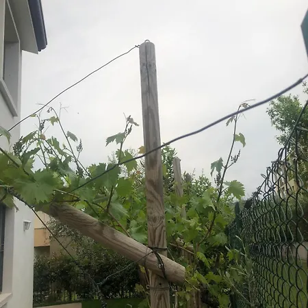 Bardolino,lago Di Garda, Appartamento,vacanze Appartement