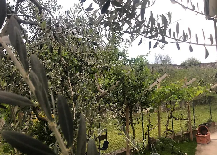 Bardolino,lago Di Garda, Appartamento,vacanze * Bardolino