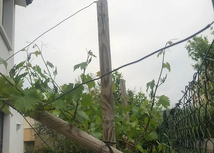 Bardolino,lago Di Garda, Appartamento,vacanze Apartment