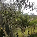 Bardolino,lago Di Garda, Appartamento,vacanze Апартаменти