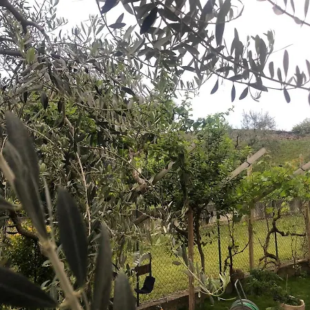 Bardolino,lago Di Garda, Appartamento,vacanze * Бардоліно